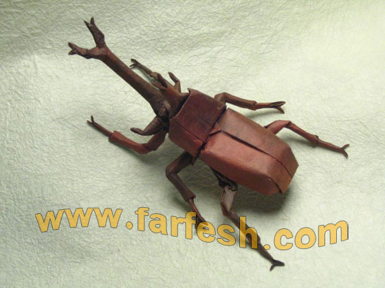 paperbugs-01.jpg