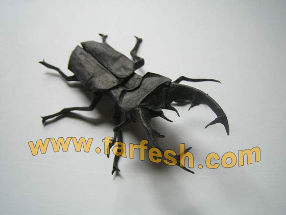 paperbugs-17.jpg