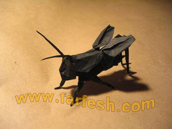 paperbugs-38.jpg