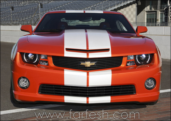 �������� ������ 2010            