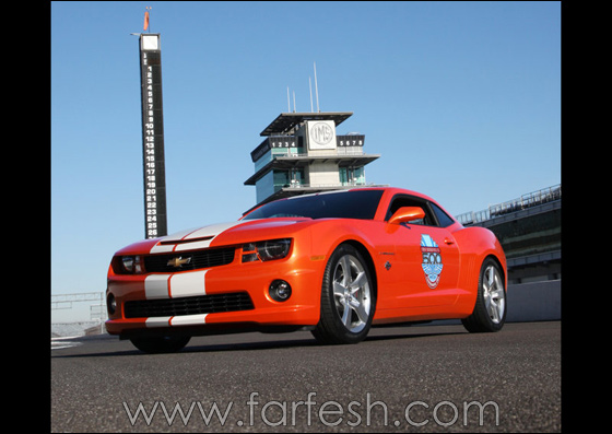 �������� ������ 2010            