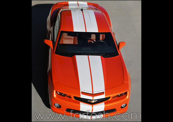 �������� ������ 2010            