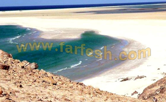 Socotra-Island34.jpg