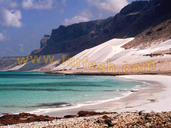Socotra-Island6.jpg