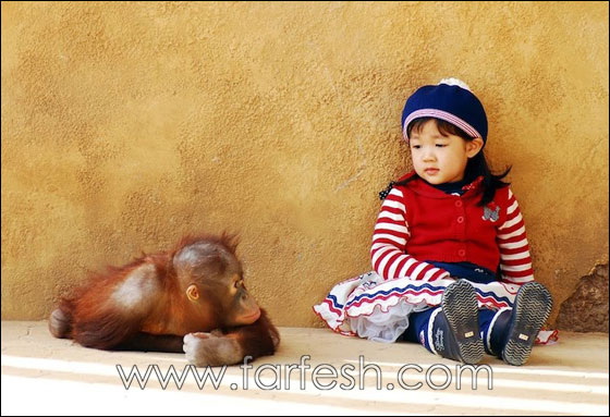 animals-0003.jpg
