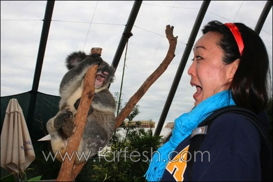animals-0030.jpg