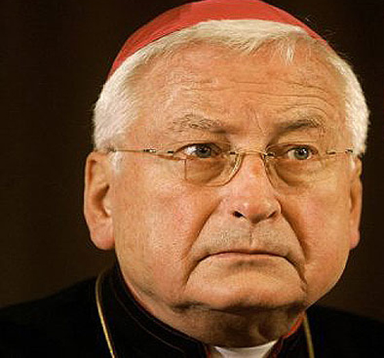 البابا: ما  تتعرض له الكنيسة يعود إلى خطايا أعضاء الكنيسة أنفسهم!