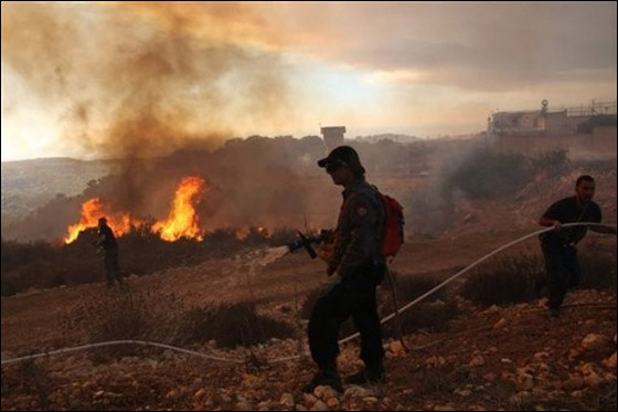 قتيلا حريق الكرمل اكبر كارثه تاريخ اسرائيل