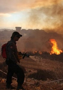 قتيلا حريق الكرمل اكبر كارثه تاريخ اسرائيل