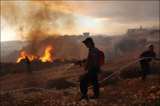 صور تتحدث عن كارثة الكرمل في حيفا 