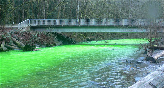 في مشهد مذهل.. مياه نهر اصطبغت باللون الأخضر!!