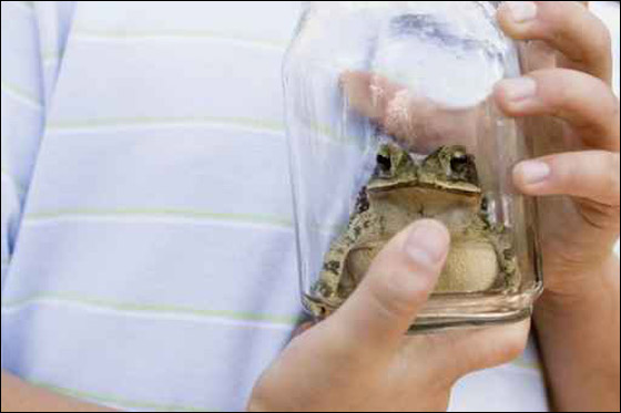 صورة