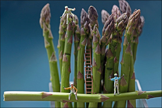 فنان يخلق مجسمات من الحياة اليومية من اللعب والطعام! 