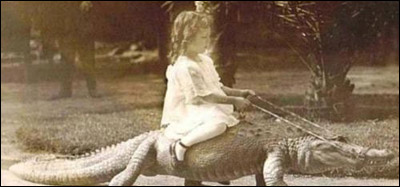 "فرفش" ينقل لكم المجموعة الاولى لصور التقطها اسوأ الآباء في العالم