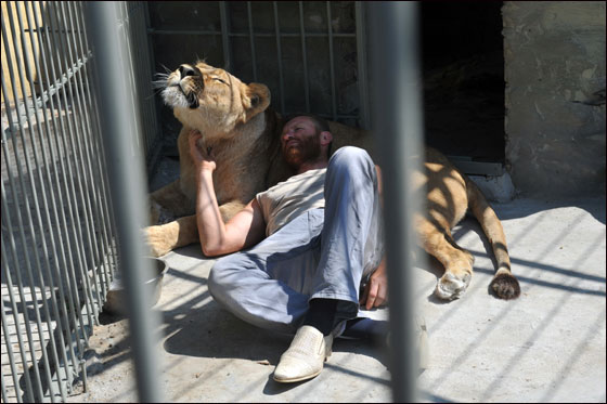 بالصور: فنان اوكراني يعتزم العيش مع اسدين داخل قفص لـ5 اسابيع