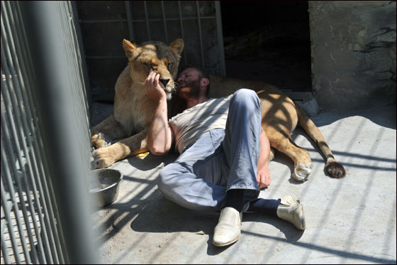 بالصور: فنان اوكراني يعتزم العيش مع اسدين داخل قفص لـ5 اسابيع