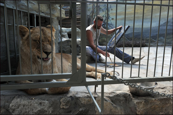 بالصور: فنان اوكراني يعتزم العيش مع اسدين داخل قفص لـ5 اسابيع