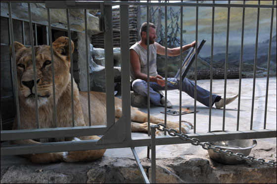 بالصور: فنان اوكراني يعتزم العيش مع اسدين داخل قفص لـ5 اسابيع