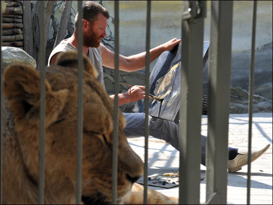بالصور: فنان اوكراني يعتزم العيش مع اسدين داخل قفص لـ5 اسابيع