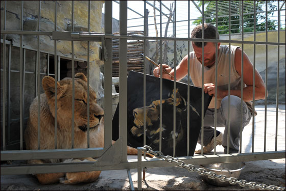 بالصور: فنان اوكراني يعتزم العيش مع اسدين داخل قفص لـ5 اسابيع
