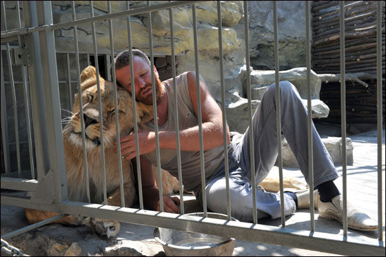بالصور: فنان اوكراني يعتزم العيش مع اسدين داخل قفص لـ5 اسابيع