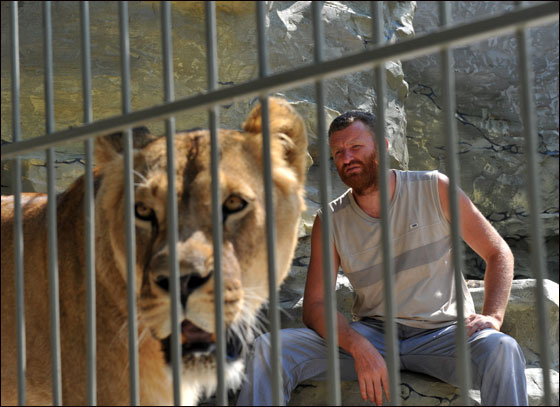بالصور: فنان اوكراني يعتزم العيش مع اسدين داخل قفص لـ5 اسابيع