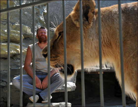 بالصور: فنان اوكراني يعتزم العيش مع اسدين داخل قفص لـ5 اسابيع