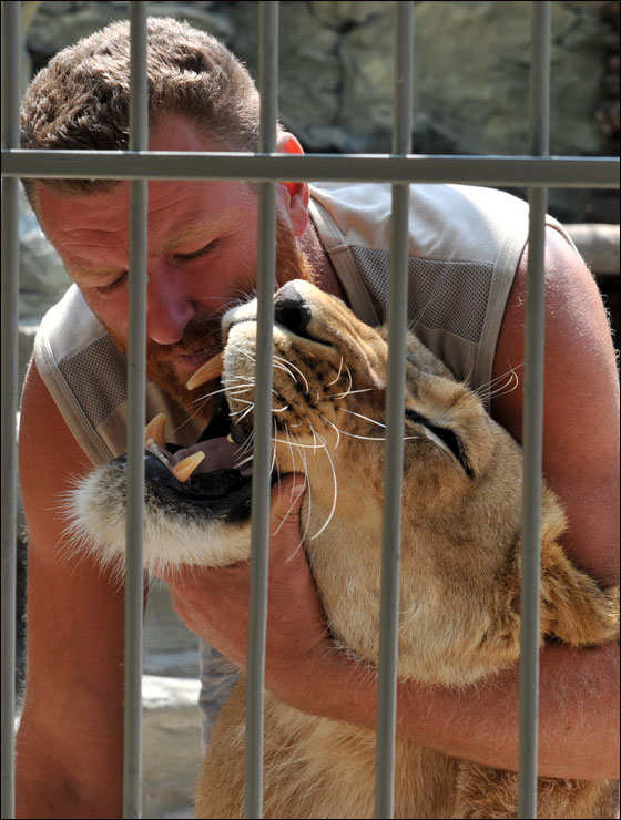 بالصور: فنان اوكراني يعتزم العيش مع اسدين داخل قفص لـ5 اسابيع
