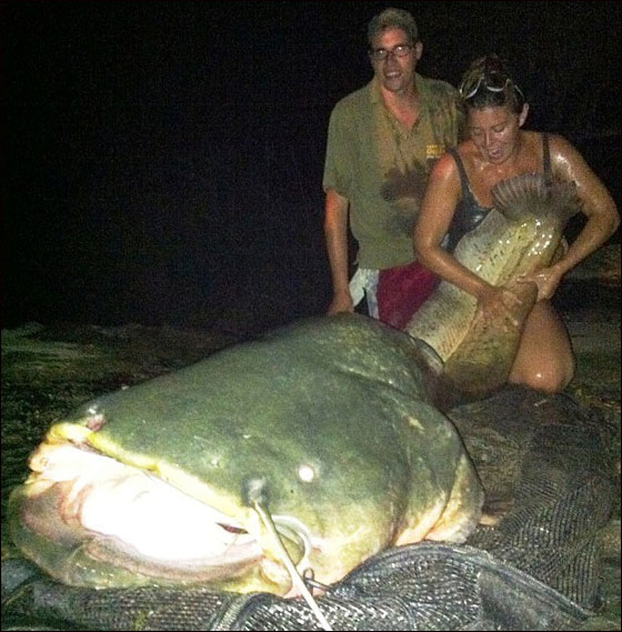 بالصور.. شابة تحطم الرقم القياسي وتصطاد سمكة بوزن 97.52 كغم!!