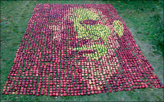 بالصور.. فنان كندي يستخدم 3500 تفاحة لرسم ستيف جوبز!!
