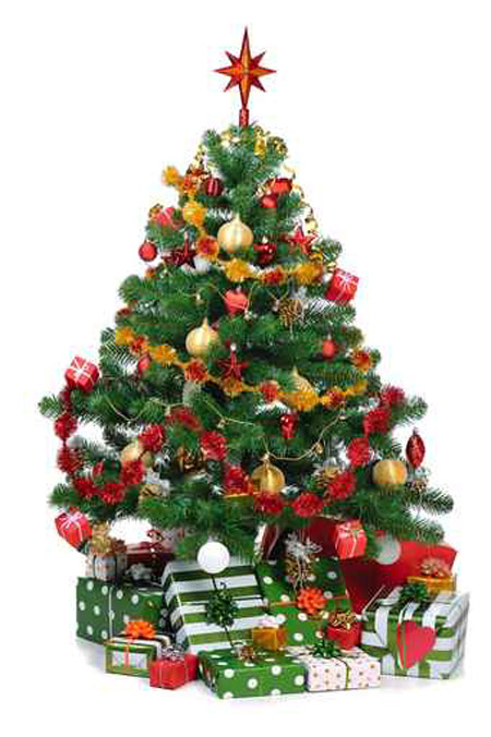 مع اقتراب عيد الميلاد المجيد.. اليكم افكار لتزيين الشجرة!!