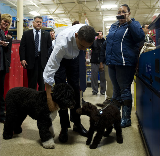 بالفيديو والصور: اوباما يصطحب كلبه في جولة التسوق لعيد الميلاد!
