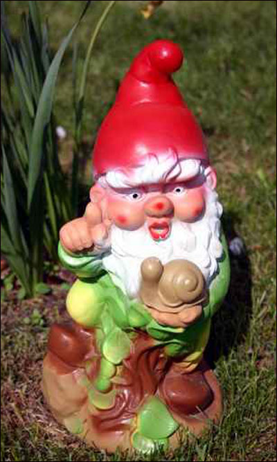 اليكم اطرف زينة للحديقة.. الاقزام!