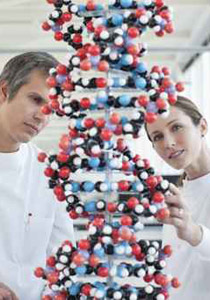 هندسة وراثية جديدة: جنين من ثلاثة اباء!! هندسة وراثية جديدة: جنين من ثلاثة اباء!!