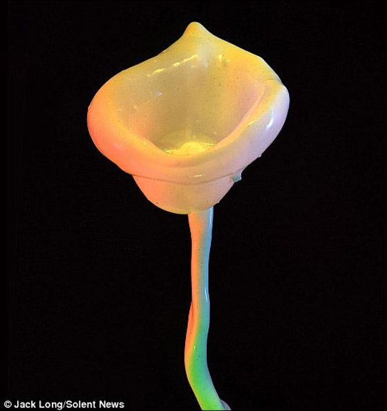 بالصور: قطرات طلاء تتحول الى زهور نابضة بالحياة!