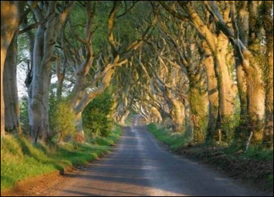 amazing_roads_19.jpg