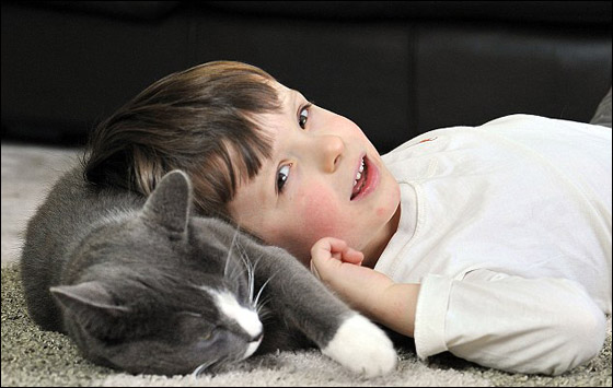 بالصور: قطة تؤنس طفل يعاني التوحد وتخرجه من قوقعته
