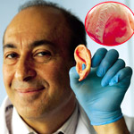 مصنع ينتج قطع غيار بشرية 