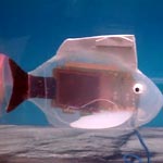 Ученые из Америки создали робота-рыбу 