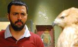 مسلسل الصقر شاهين مسلسل الصقر شاهين