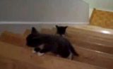 ��� ����� ��� �����